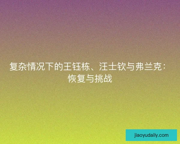 复杂情况下的王钰栋、汪士钦与弗兰克：恢复与挑战