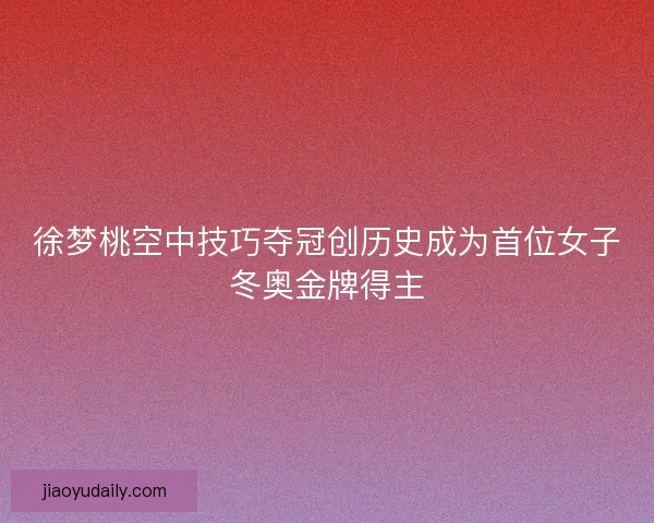 徐梦桃空中技巧夺冠创历史成为首位女子冬奥金牌得主